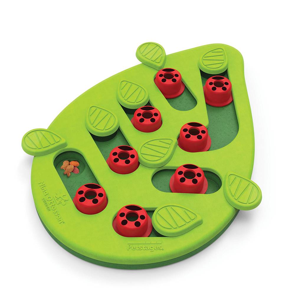 PetStages Buggin Out Interactive Cat Playtime Toy
