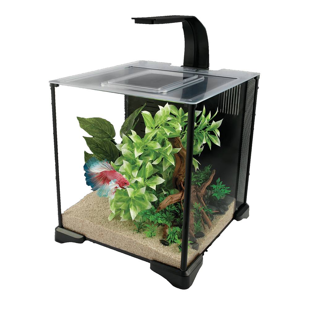 Fluval Premium Betta Aquarium Kit 5Gal