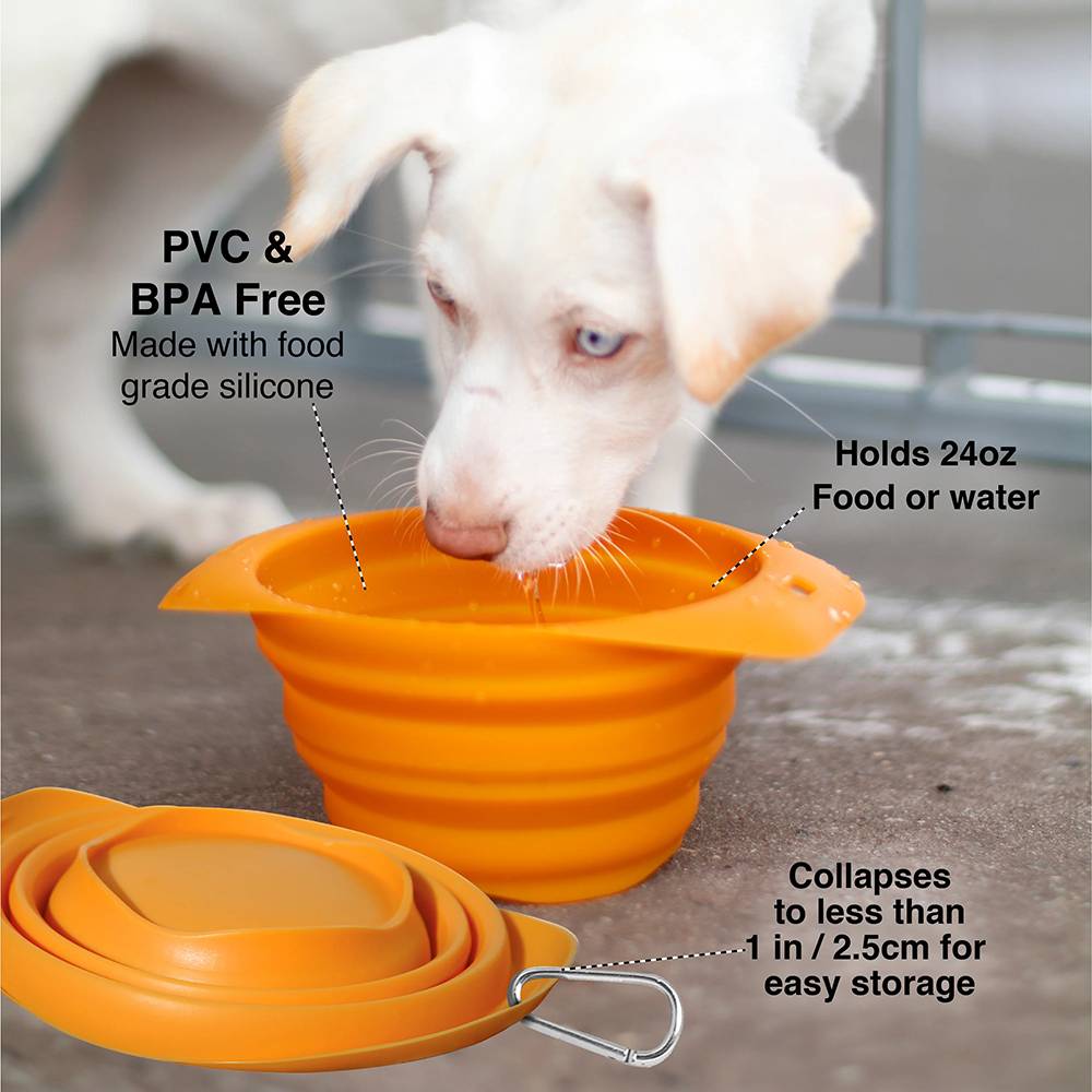 Kurgo Collapsing Water and Food Bowl Orange