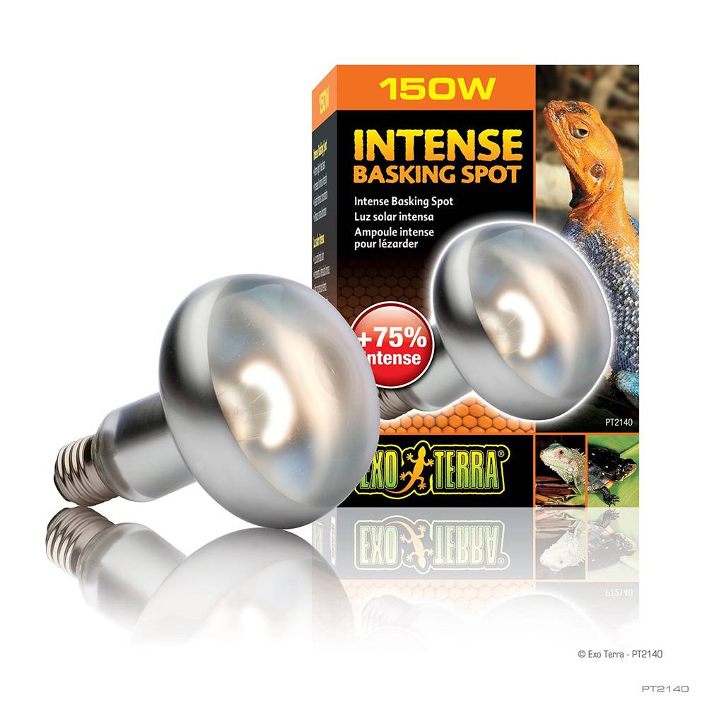 Exo Terra Intense Basking Spot Lamp 150 watt