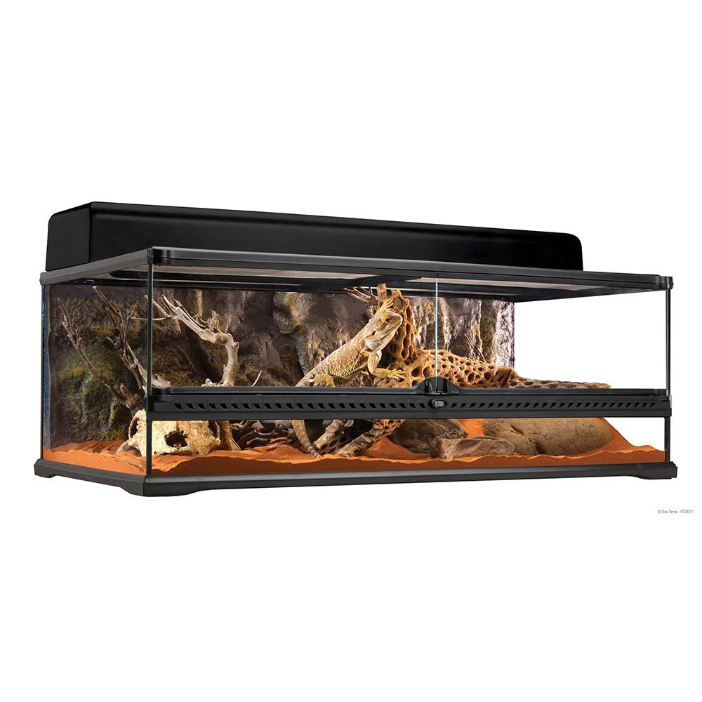 Exo Terra Tall Terrarium Large Low 36x18x12-inch