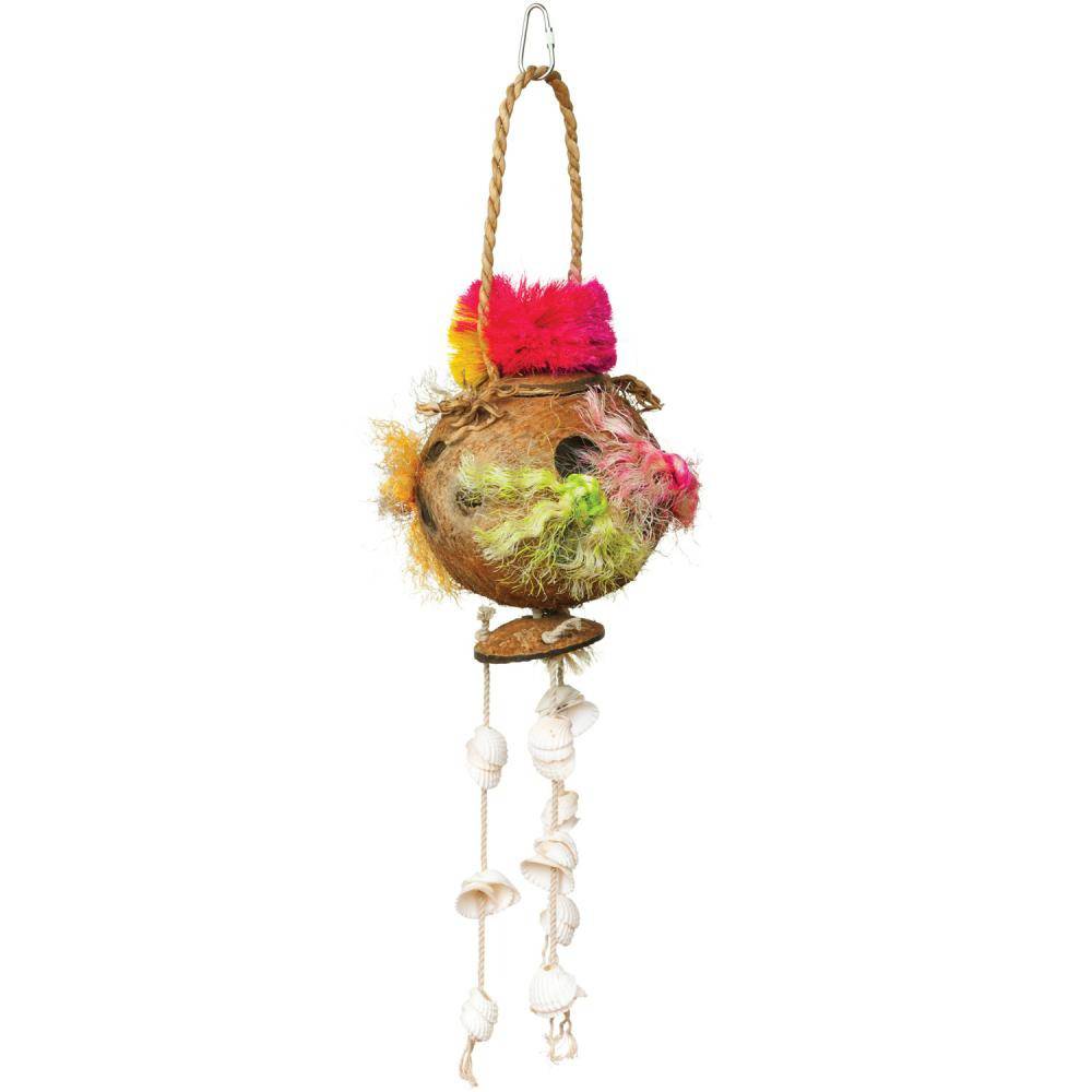 Coconut Fun Foraging Activity Medium Bird Toy
