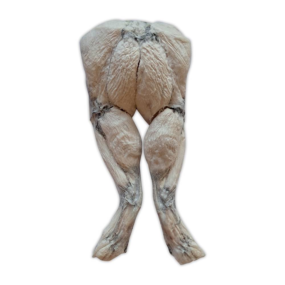 Bones and Co Freeze Dried Frog Leg for dogs Bones and Co Freeze Dried Frog Leg for dogs