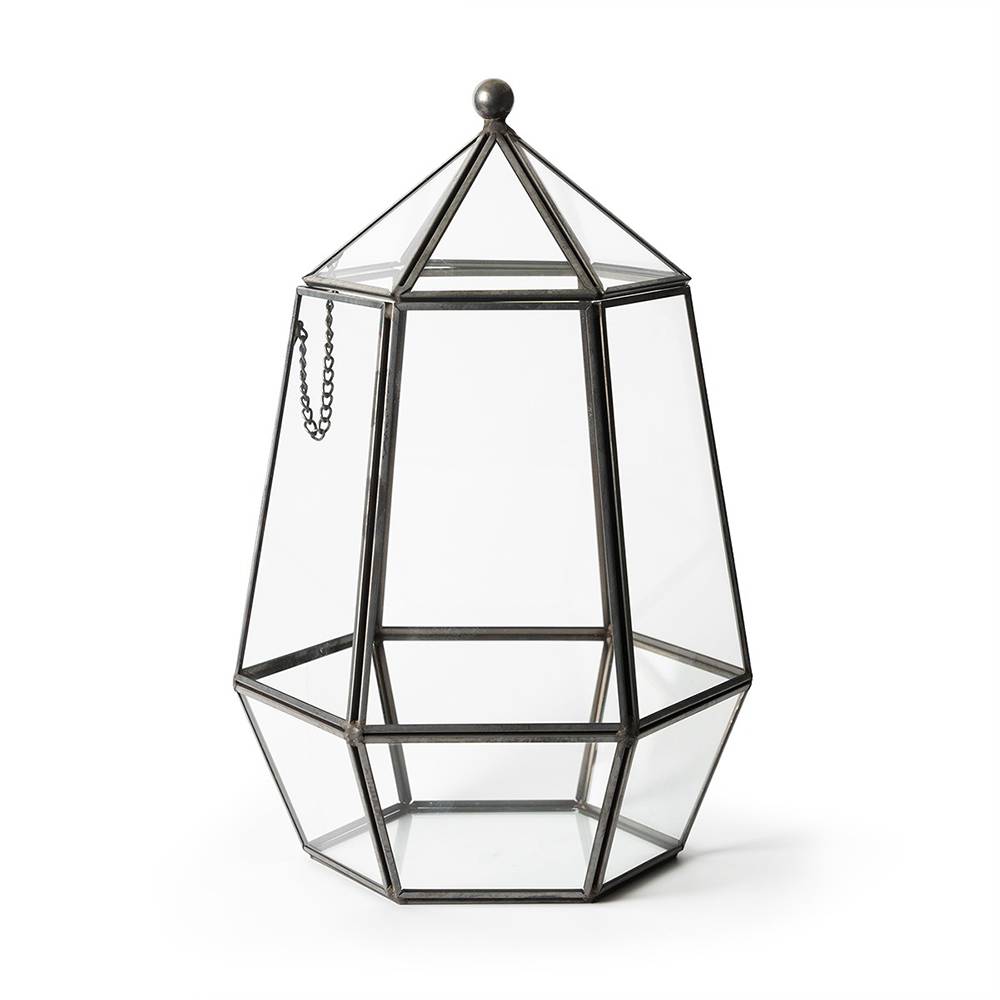SuperMoss Atrium Glass Terrarium 6.5 x 10-inch
