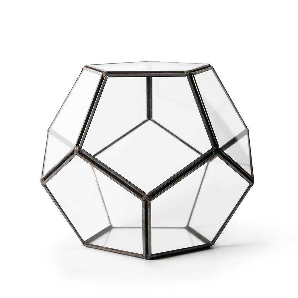 SuperMoss Dome Glass Terrarium 6.5 x 10-inch
