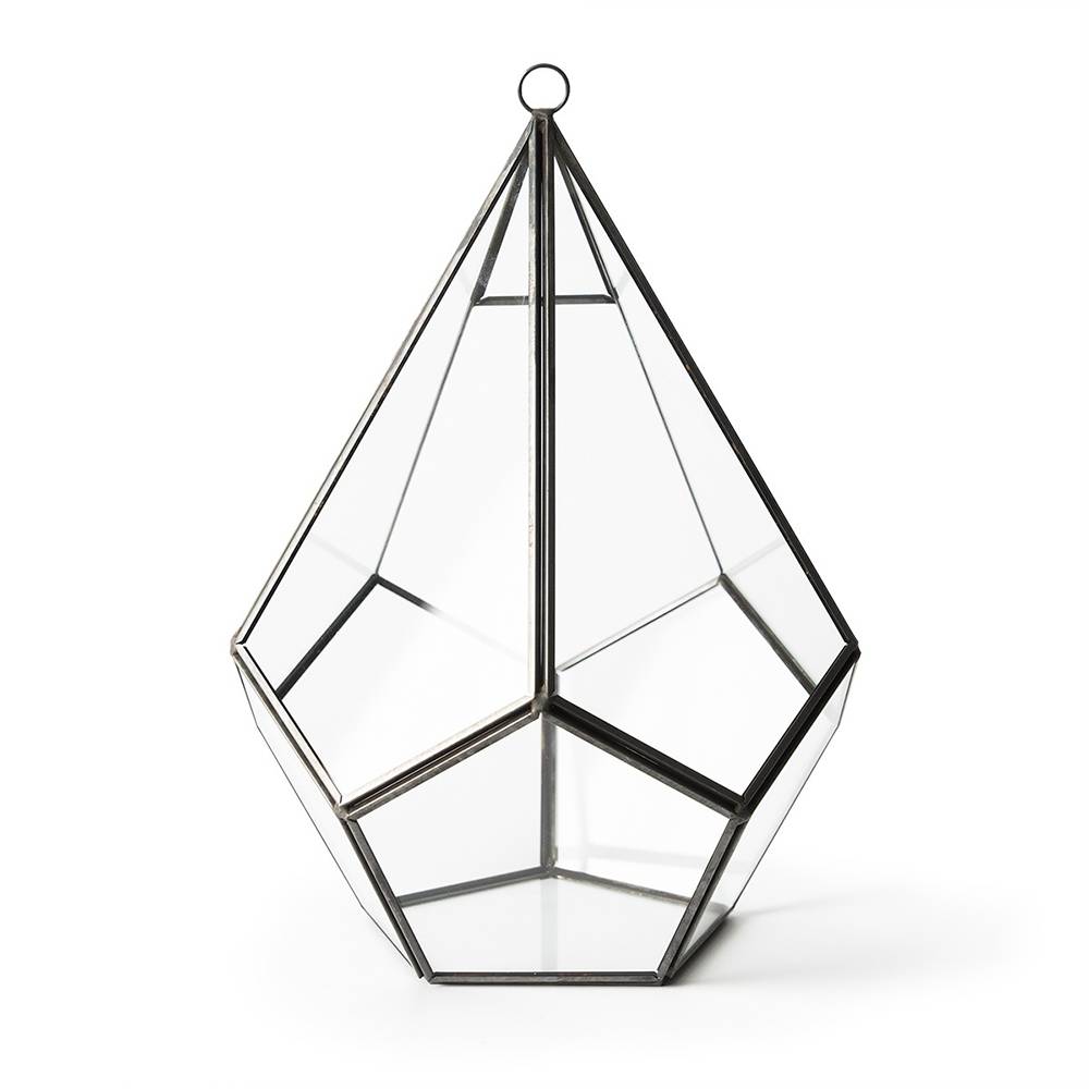 SuperMoss Teardrop Glass Terrarium 7 x 10-inch