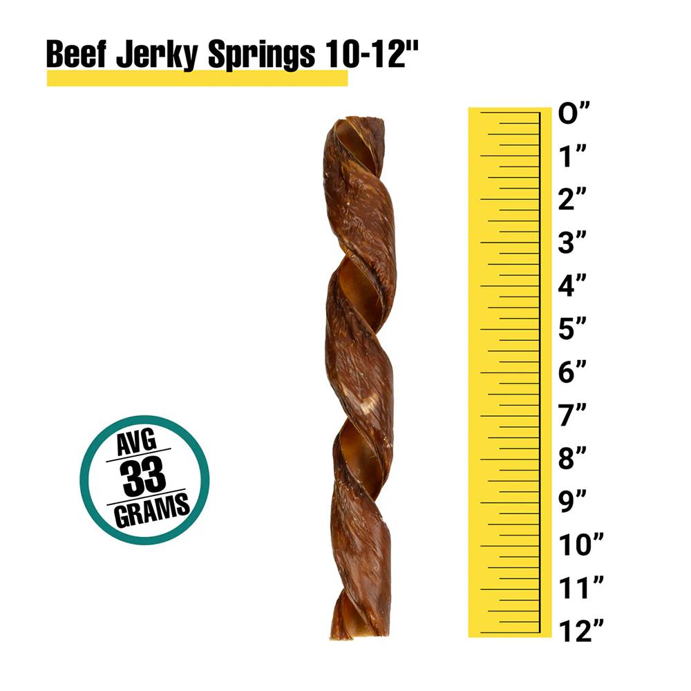 Beef Spring Gullet Premium Natural Dog Treat 10 inch