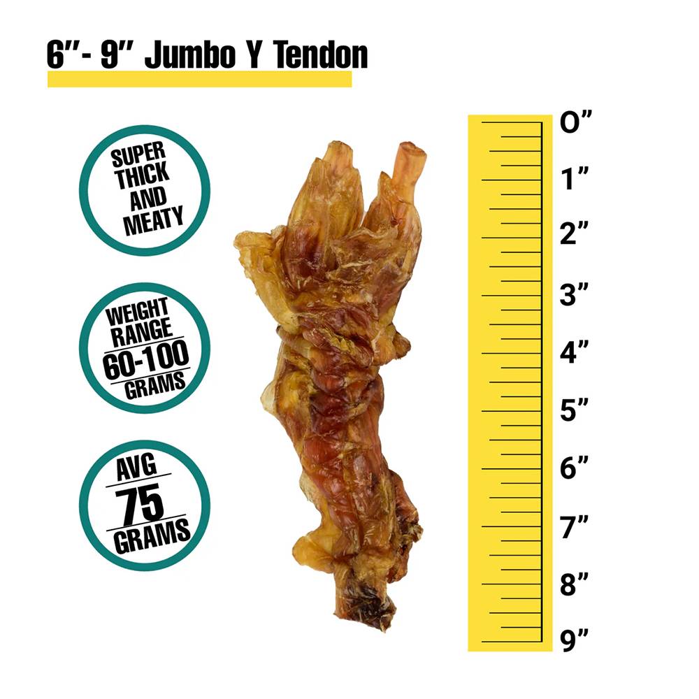 Jumbo Beef Y Tendon Premium Dog Treat