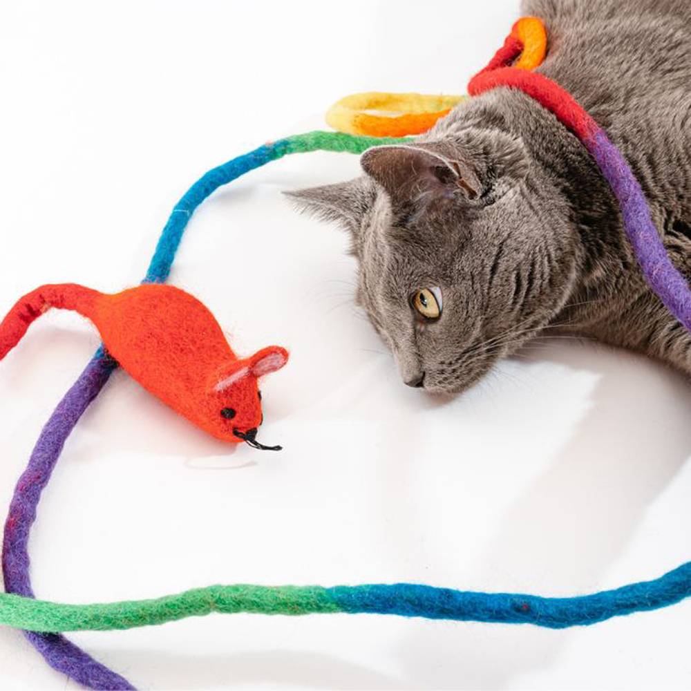 Wool Rainbow Mouse with 6 ft Tail Cat Toy