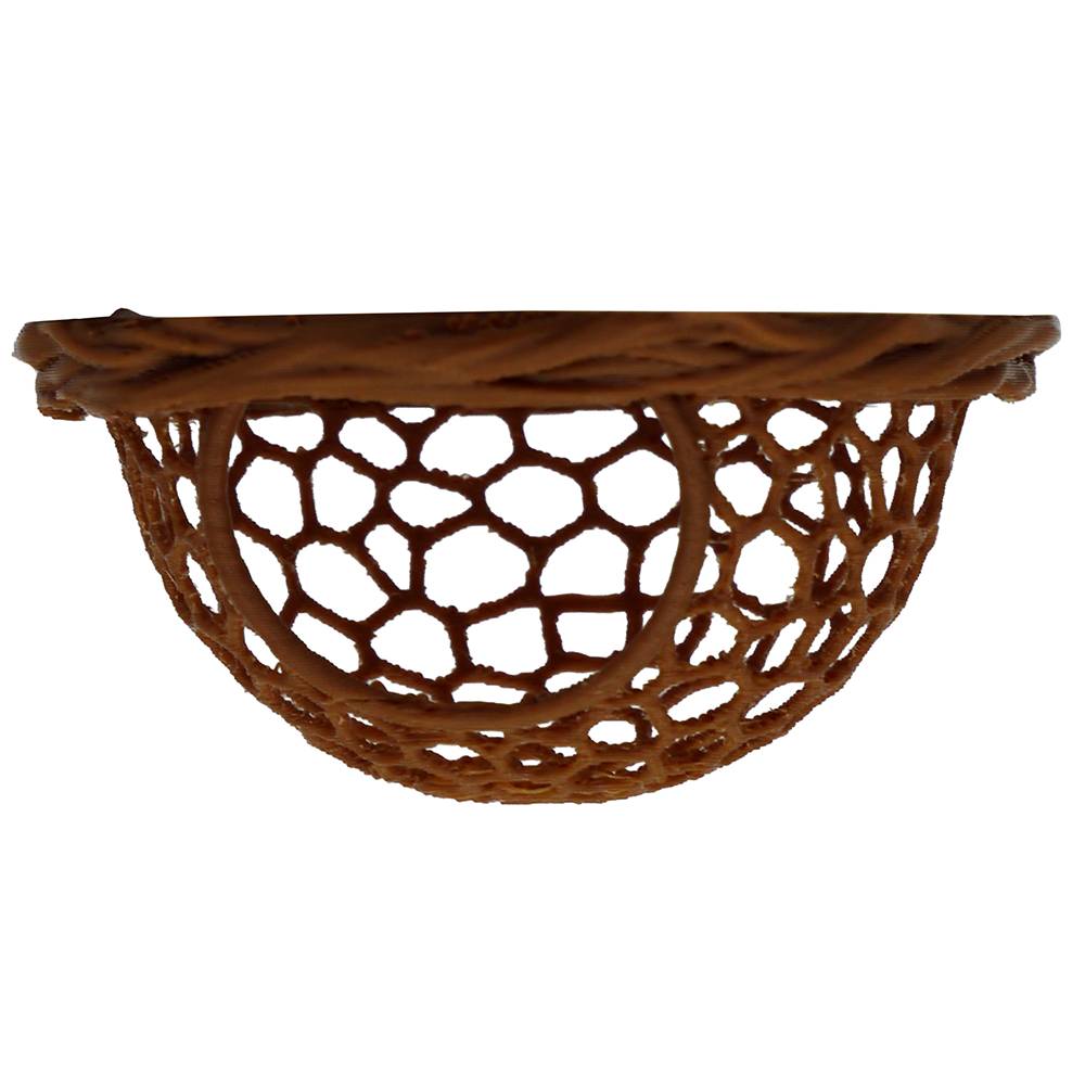 Floating Fish Hide One of a Kind