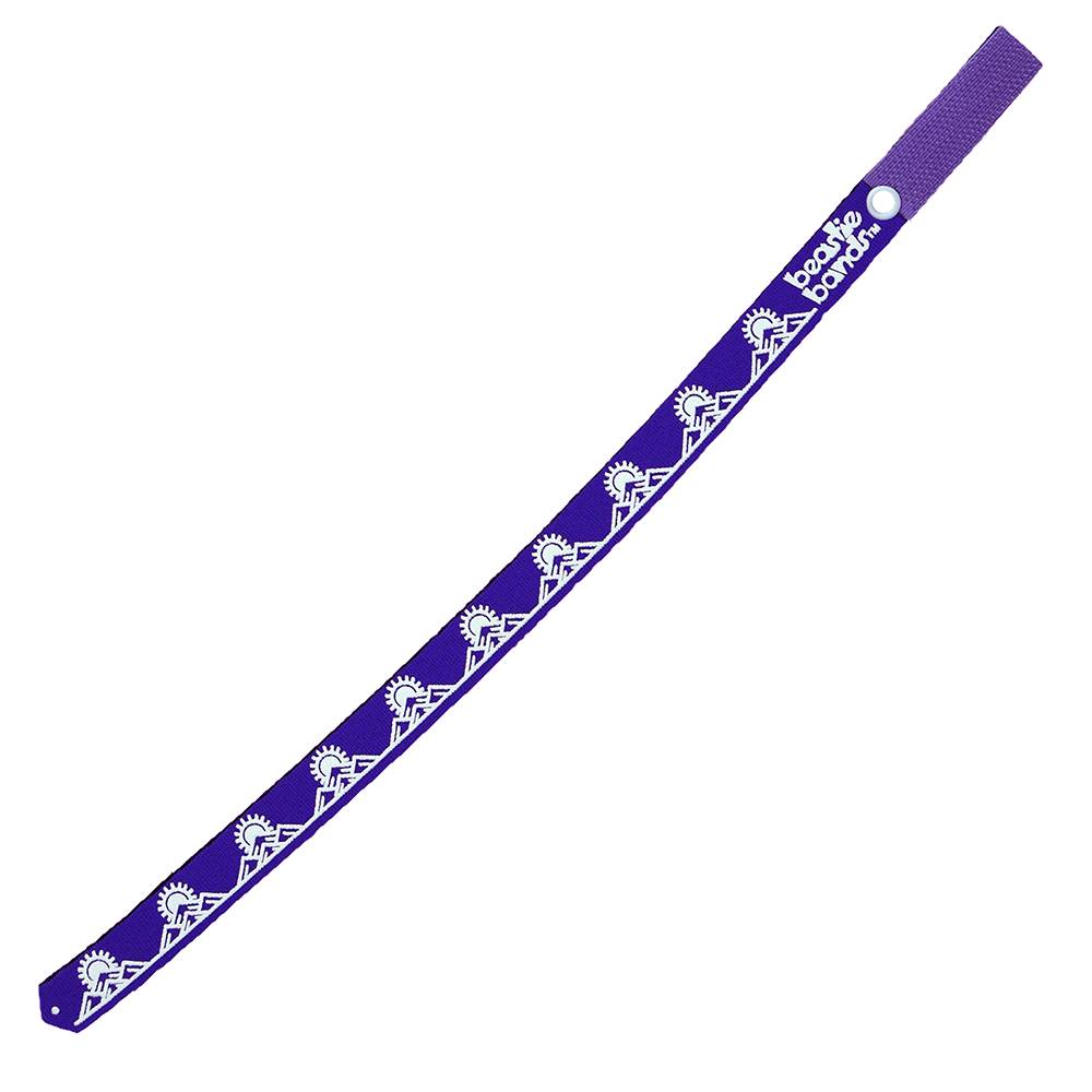 Beastie Band Cat Collar Summit Sunrise (Purple)