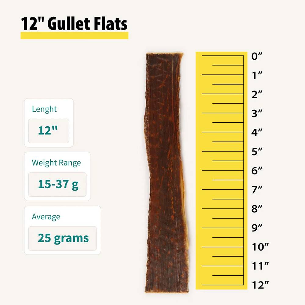 Gourmet Dog Treat Single Beef Gullet Flat 12 inch