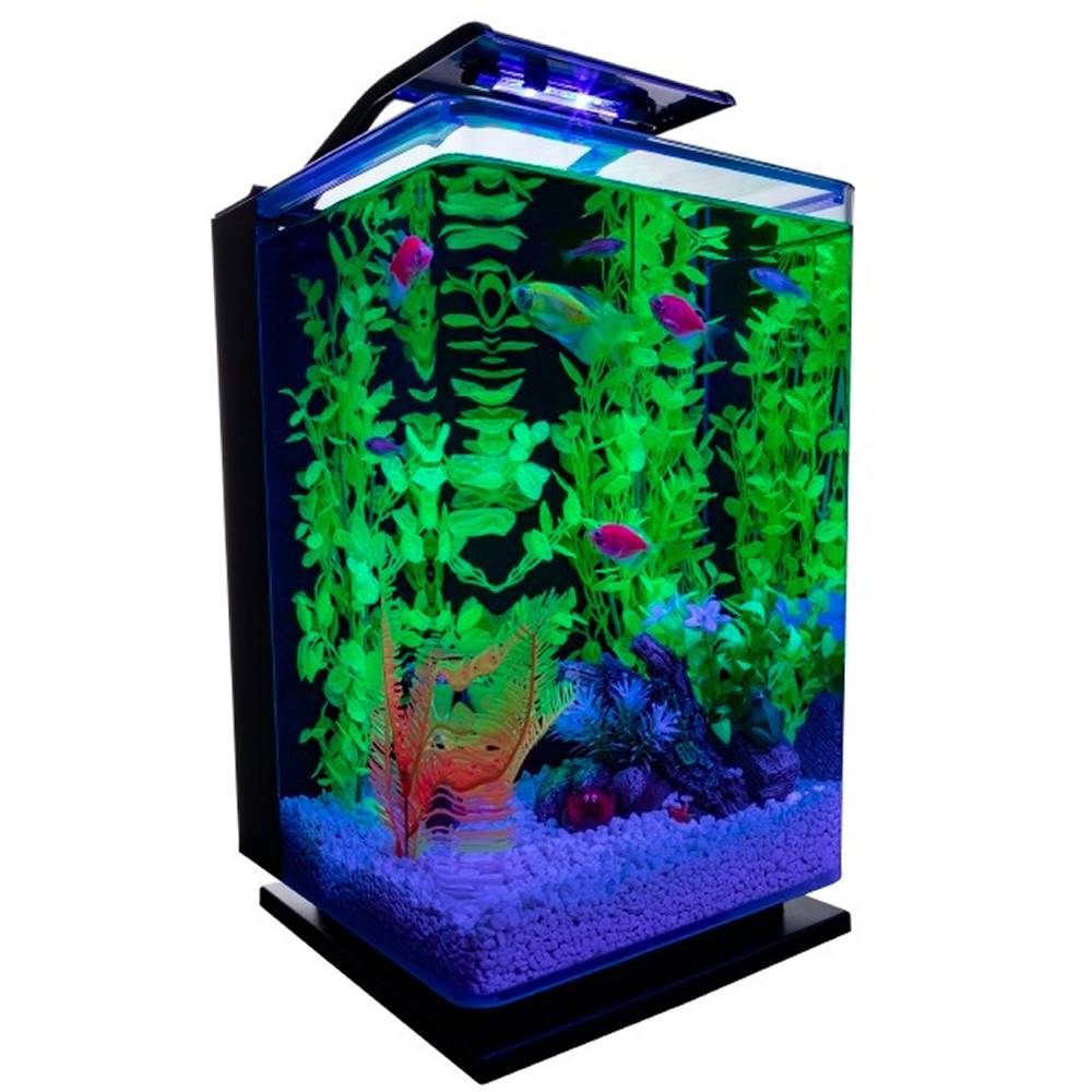 GloFish Desktop Aquarium Kit 5 Gallon Black