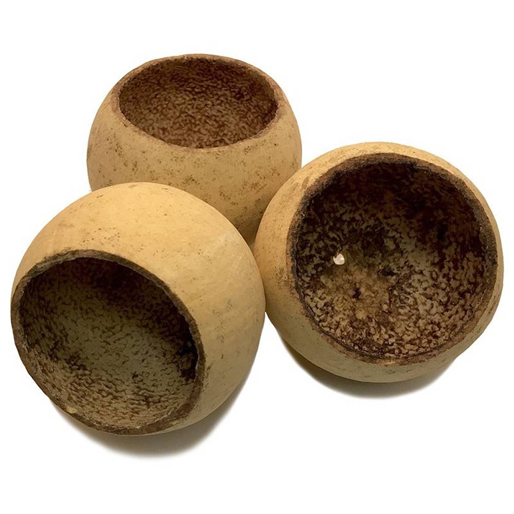 Bell Cups for terrariums and isopods