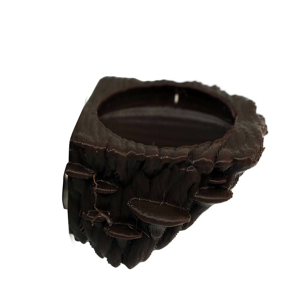 Jumping Spider Platform Dish One of a Kind
