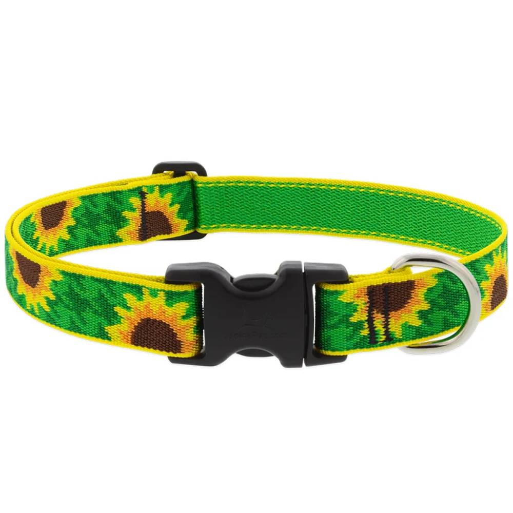 Dog Collar Adjustable Nylon Sunflower 12-20 1 inch wide