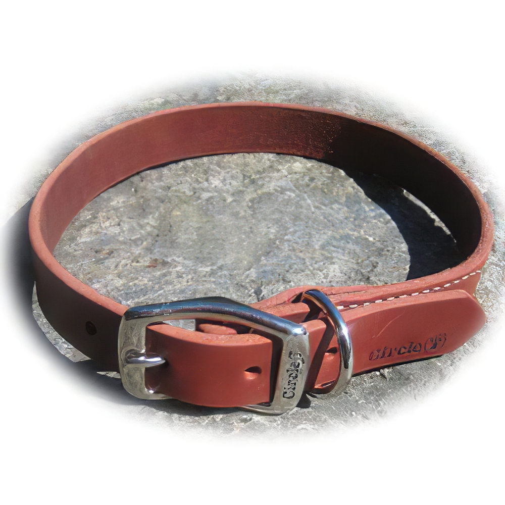Circle T Latigo Single Layer Leather Dog Collar 22 inch