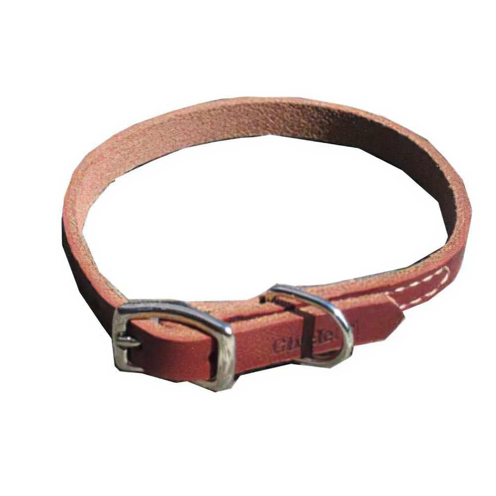 Circle T Latigo Single Layer Leather Dog Collar 10 inch