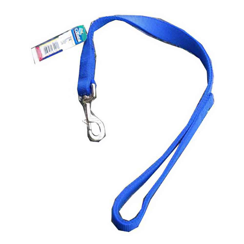 Nylon Dog Traffic Leash 1-inch x 2 foot Blue