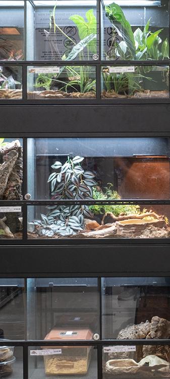 Image 1 of Arcata Pet on July 31, 2024
