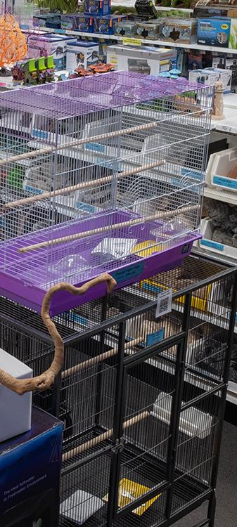 Image 1 of Arcata Pet on July 31, 2024